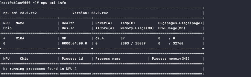 Ascend-mindxdl Information